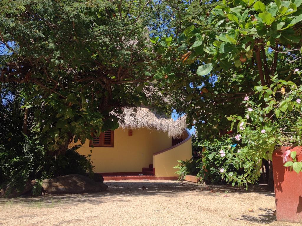Troncones Point Hostel 外观 照片