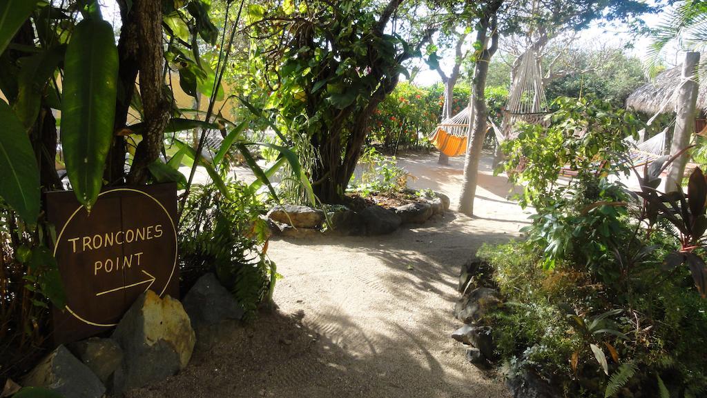 Troncones Point Hostel 外观 照片
