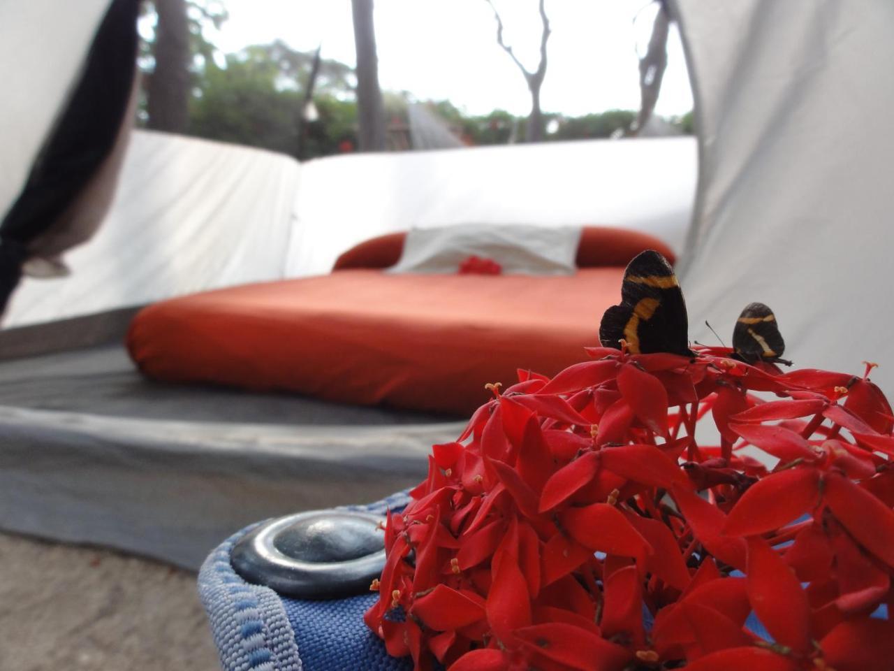 Troncones Point Hostel 外观 照片